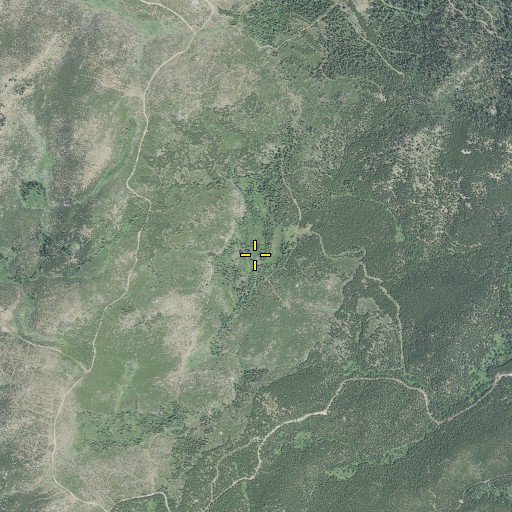 Aerial/Satellite Image of Webfoot Meadow, OR