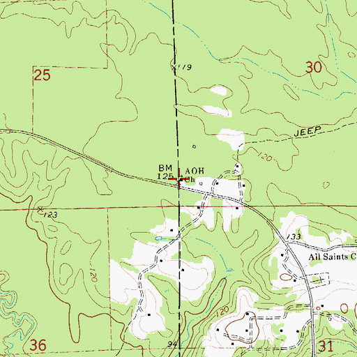 Topographic Map of A O H Church, AL