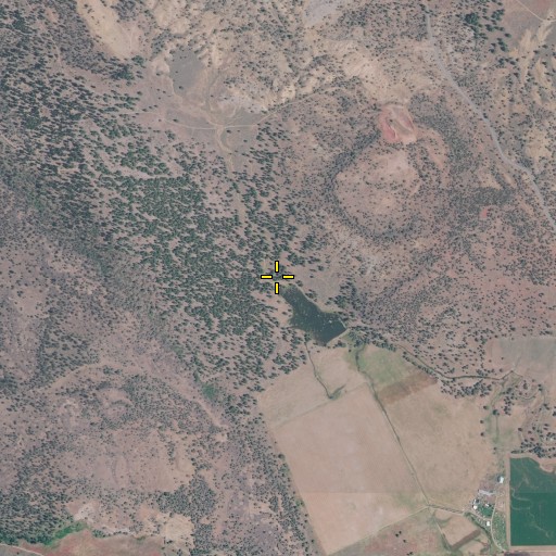 Aerial/Satellite Image of Welsh Gulch, OR