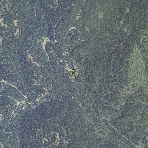 Aerial/Satellite Image of West Eagle Creek, OR