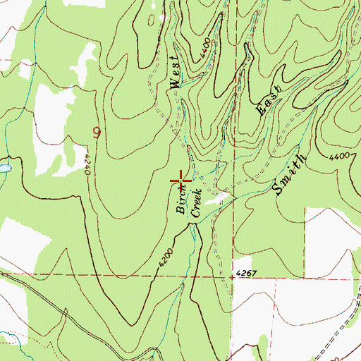 Topographic Map of West Fork Birch Creek, OR