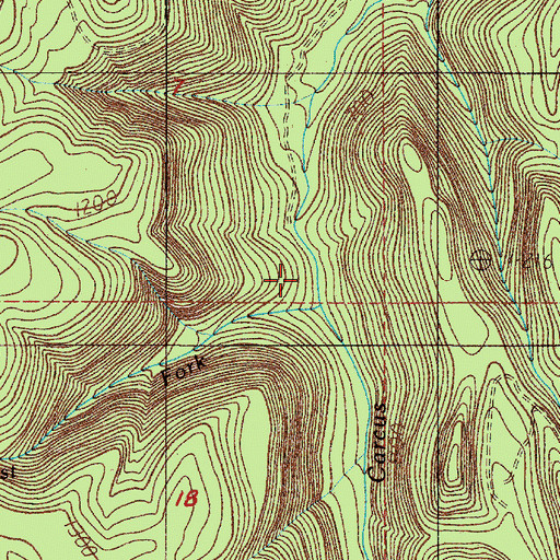 Topographic Map of West Fork Carcus Creek, OR