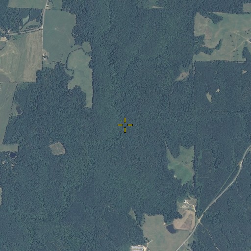 Aerial/Satellite Image of Abison Branch, AL