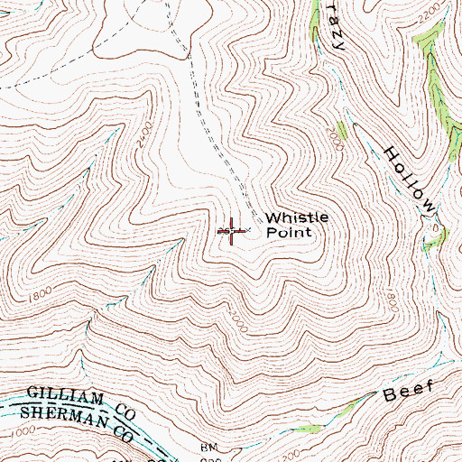 Topographic Map of Whistle Point, OR