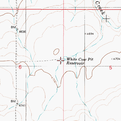 Topographic Map of White Cow Pit Reservoir, OR