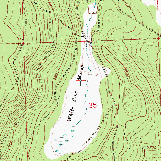 Topographic Map of White Pine Marsh, OR
