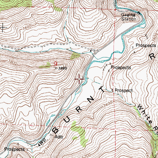 Topographic Map of White Rock Gulch, OR