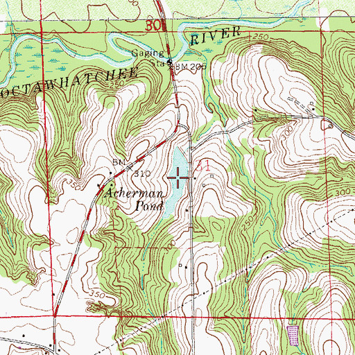 Topographic Map of Acherman Pond, AL