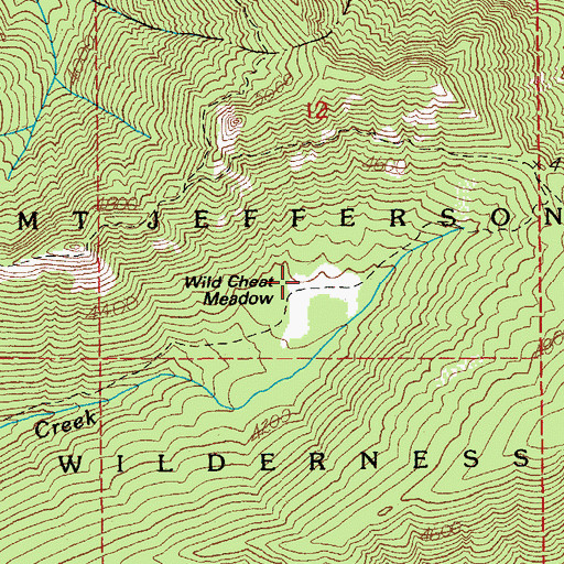 Topographic Map of Wild Cheat Meadow, OR