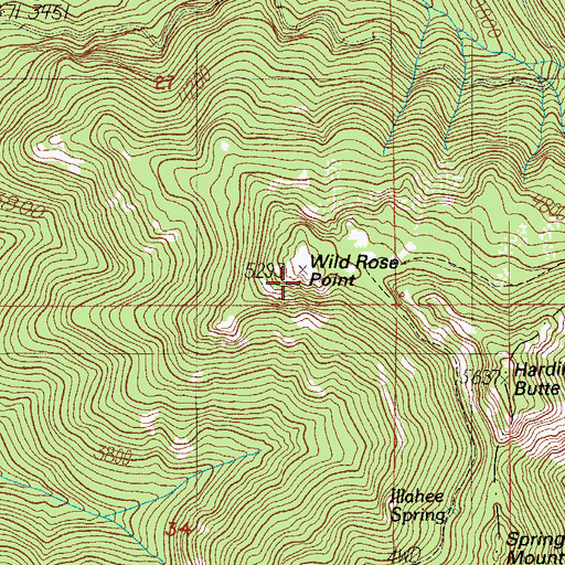 Topographic Map of Wild Rose Point, OR