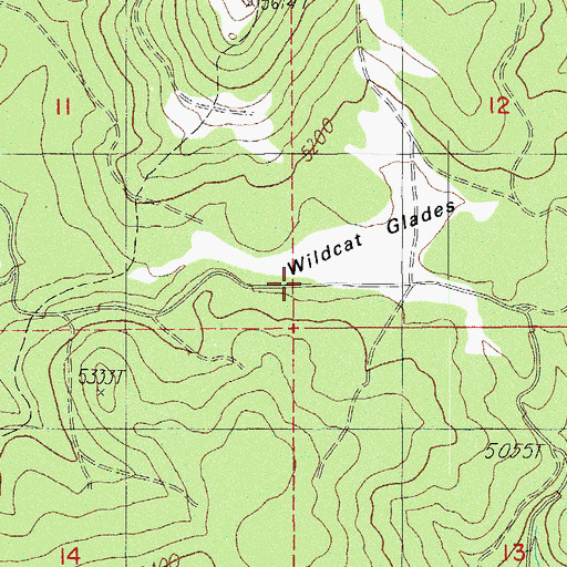 Topographic Map of Wildcat Glades, OR
