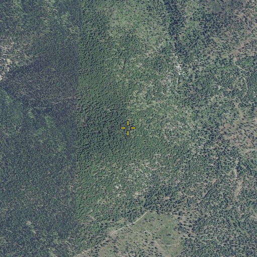 Aerial/Satellite Image of Wildcat Mountain, OR