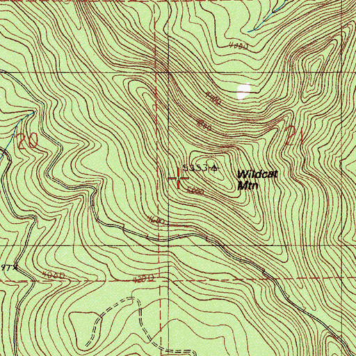 Topographic Map of Wildcat Mountain, OR