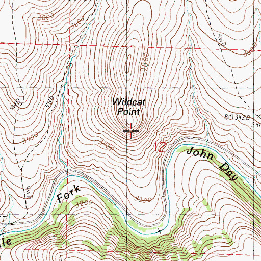 Topographic Map of Wildcat Point, OR
