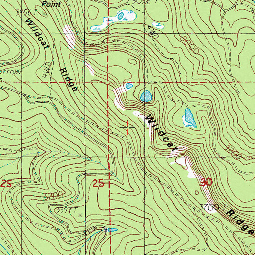 Topographic Map of Wildcat Ridge, OR