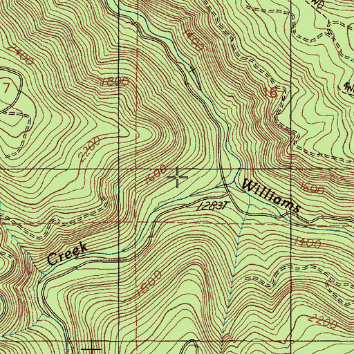Topographic Map of Wilson Creek, OR