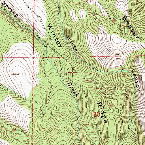 Topographic Map of Winter Ridge, OR