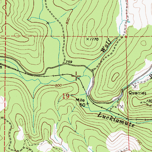 Topographic Map of Wolf Creek, OR
