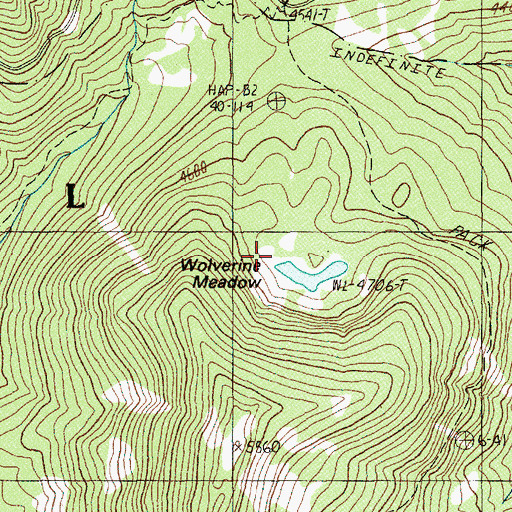 Topographic Map of Wolverine Meadow, OR