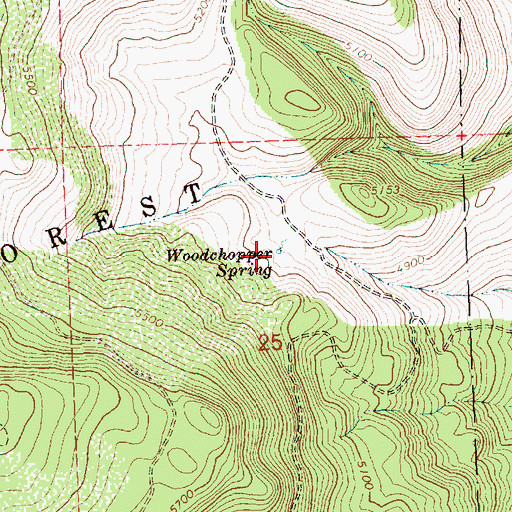 Topographic Map of Woodchopper Spring, OR