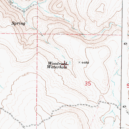 Topographic Map of Woodroad Waterhole, OR
