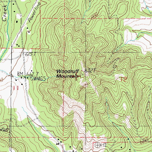 Topographic Map of Woodruff Mountain, OR