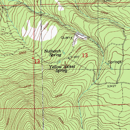Topographic Map of Yellow Jacket Spring, OR