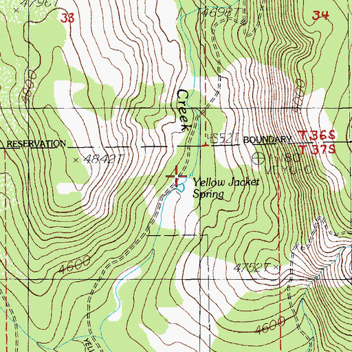 Topographic Map of Yellow Jacket Spring, OR