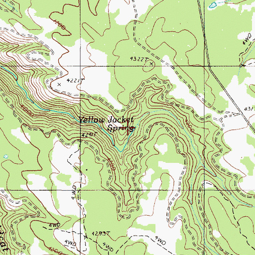 Topographic Map of Yellow Jacket Spring, OR