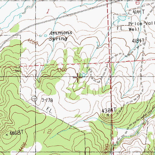 Topographic Map of Ammons Reservoir, OR