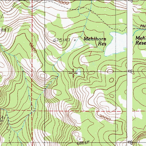 Topographic Map of Steele Reservoir, OR