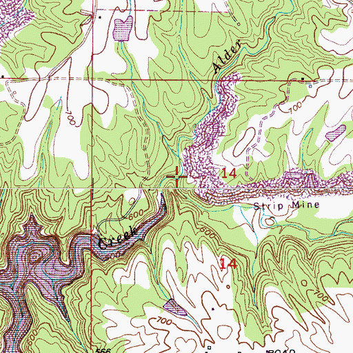 Topographic Map of Alder Branch, AL