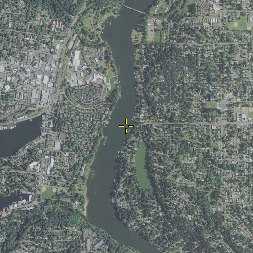 Aerial/Satellite Image of Forest Creek, OR