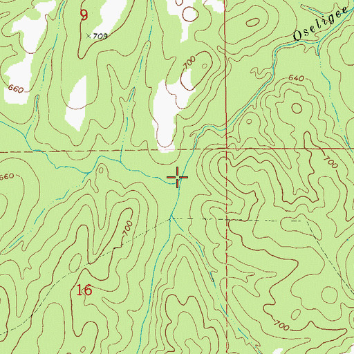 Topographic Map of Allen Creek, AL