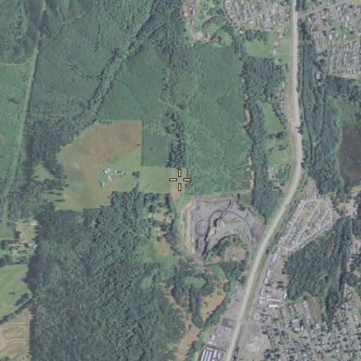 Aerial/Satellite Image of Masonic Cemetery, OR