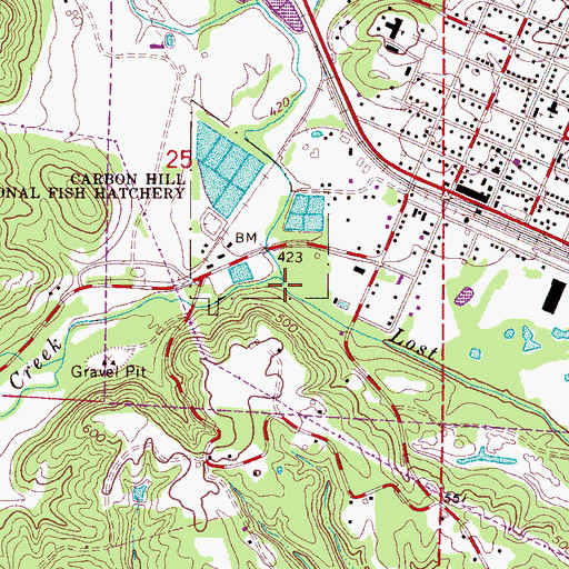 Topographic Map of Allen Creek, AL