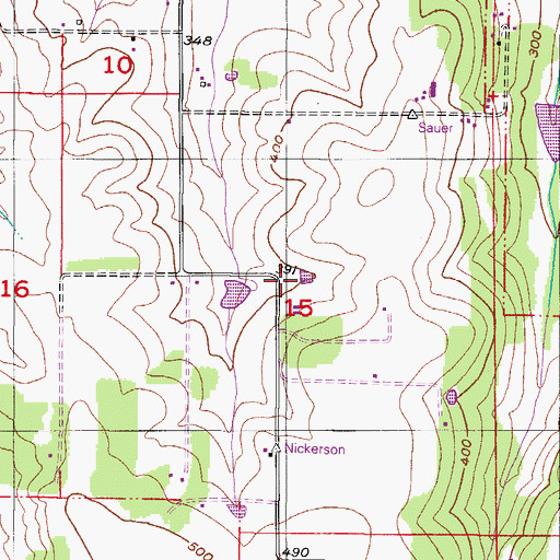 Topographic Map of Downing Pond, OR