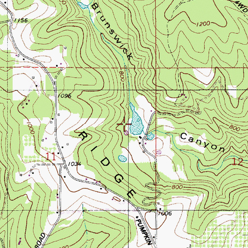 Topographic Map of Horning Reservoir, OR