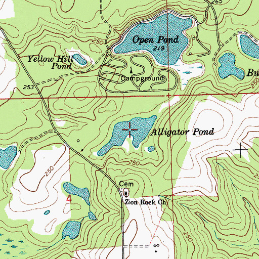 Topographic Map of Alligator Pond, AL