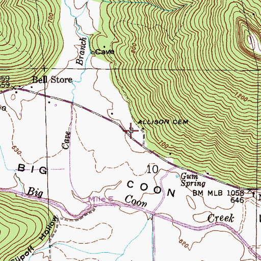 Topographic Map of Allison Cemetery, AL