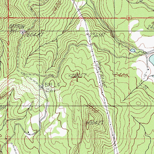 Topographic Map of Straus Spring, OR