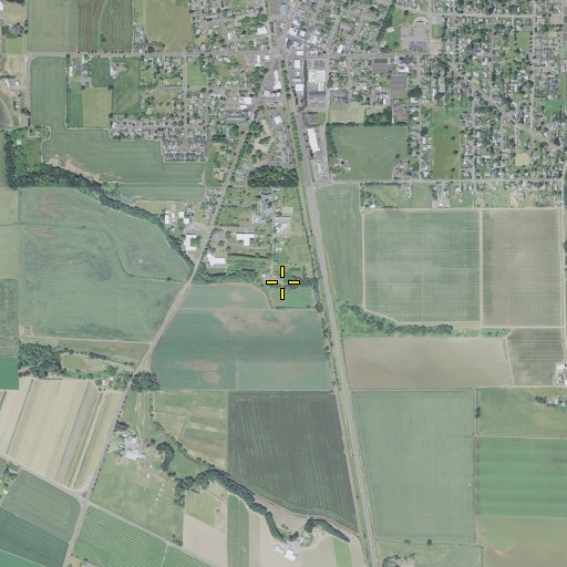 Aerial/Satellite Image of Saint Mary Cemetery, OR