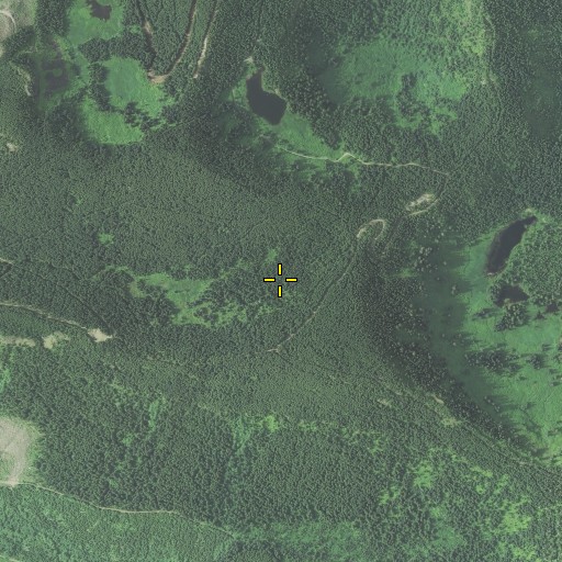 Aerial/Satellite Image of Hell Cat Rock, OR
