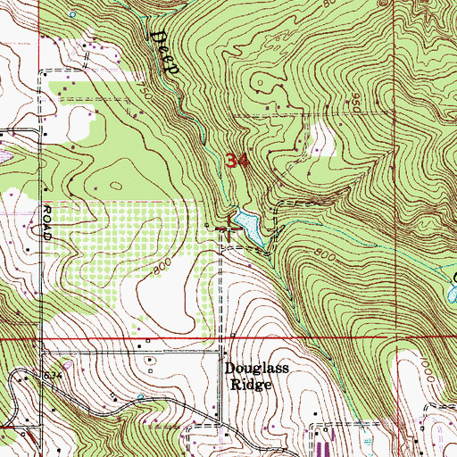 Topographic Map of Deep Creek Reservoir, OR