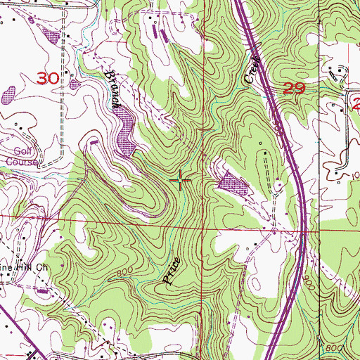 Topographic Map of Alvis Branch, AL