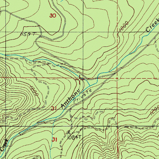 Topographic Map of Dexter Creek, OR