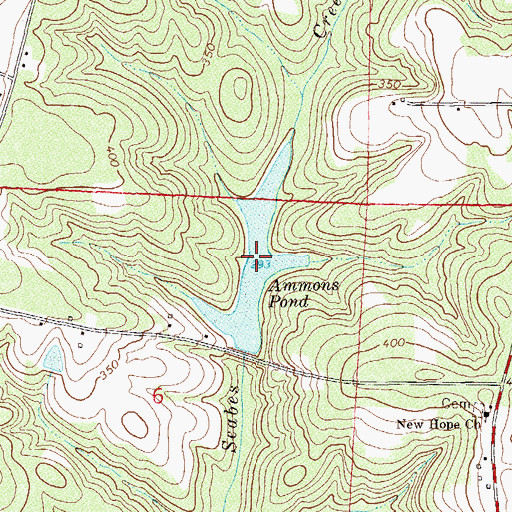 Topographic Map of Ammons Pond, AL