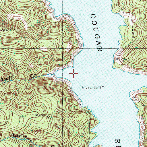 Topographic Map of Basalt Creek, OR