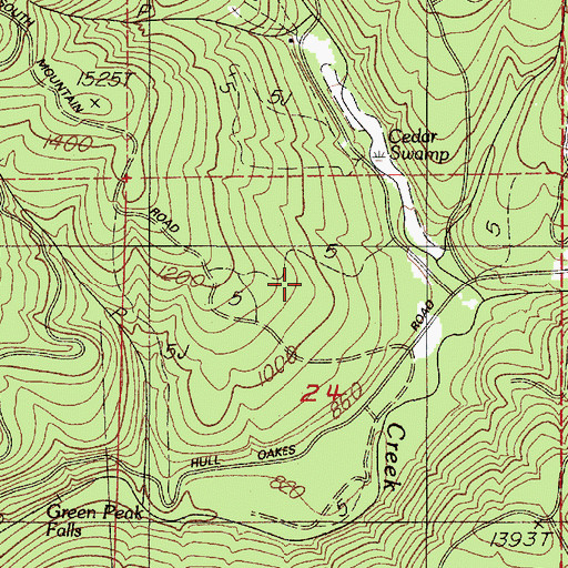 Topographic Map of Cedar Swamp, OR