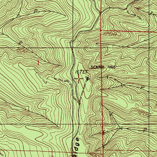 Topographic Map of Scare Ridge Lookout, OR